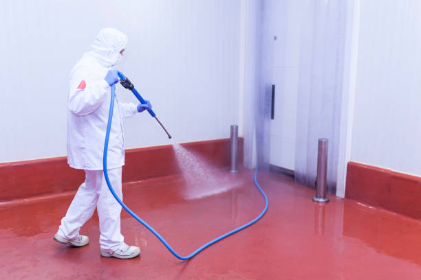 Trusted Blackstone, VA Pressure Washing Services Experts