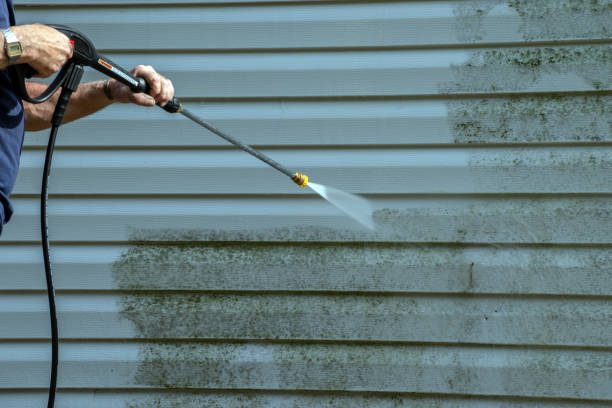 Best Pool Deck Cleaning in Blackstone, VA