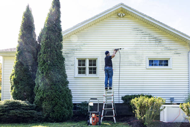 Best Vinyl Siding Pressure Washing in Blackstone, VA